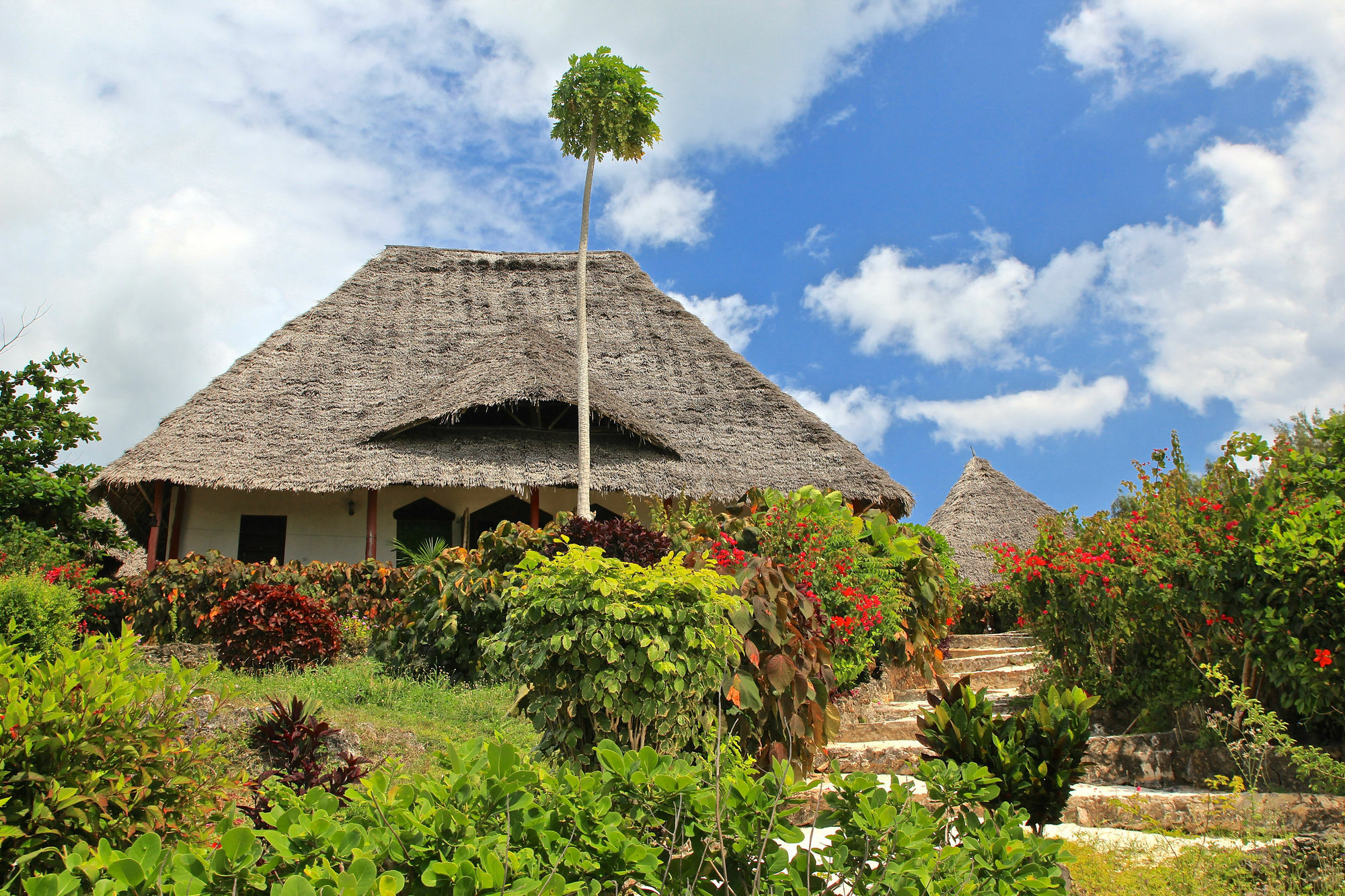 Sazani Beach Lodge And Tidal Lounge Nungwi Εξωτερικό φωτογραφία